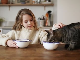 lait chat